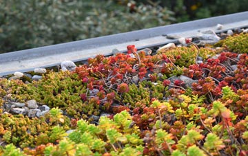 the cost of Clarborough green roof installation