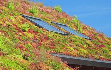 Clarborough living roof systems
